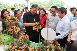 貴賓參觀各攤位並品嘗荔枝。