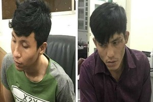 被起訴的2名劫匪陳俊英（左）及阮武黃南。（圖源：警方提供）