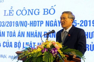最高人民法院院長阮和平在公佈儀式上發言。（圖源：進成）
