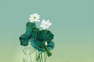 （示意圖源：互聯網）