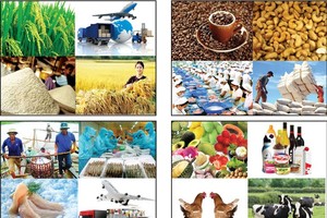 今年5月份，農林水產出口市場環比已再度回升，概算達36.2億美元。（示意圖源：互聯網）