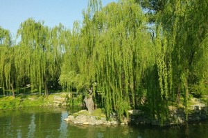 （示意圖源：互聯網）