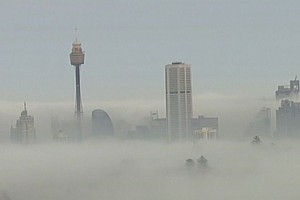 濃霧令悉尼的能見度減低。（圖源：互聯網）