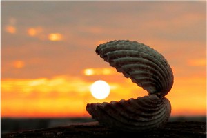 （示意圖源：互聯網） 