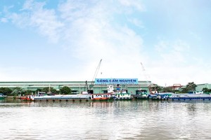 座落隆安省濱瀝市的錦源國際碼頭一隅。