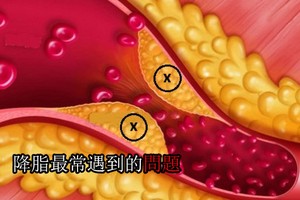 （示意圖源：互聯網） 