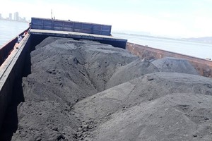 運載上千噸來源不詳煤炭的“南偉79號”貨船被扣押。（圖源：南盛）