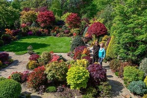 英國一對老夫婦托尼和瑪麗花了 22 年的時間把後花園改造成了一個壯觀的天堂。（圖源：互聯網）