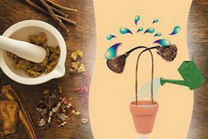 （示意圖源：互聯網） 