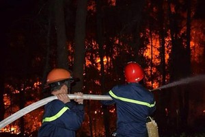 昨(29)日下午在春鴻鄉的餘火再次燃燒起來，各職能力量仍在撲滅中。（圖源：互聯網）