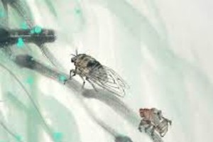 （示意圖源：互聯網） 