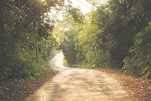 （示意圖源：互聯網） 