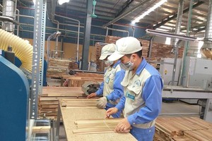 上半年，全國林產品出口額達近52.3億美元。（圖源：阮慶）