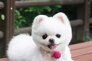 （示意圖源：互聯網） 