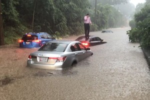 司機爬到車頂待救。（圖源：互聯網）