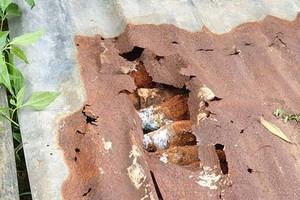 職能力量初步收集得到31顆60毫米的迫擊砲彈散落外面。（圖源：段堅）