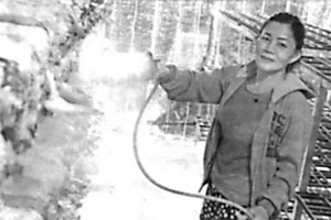 陳氏嬌詩在照料她種植的菇類。