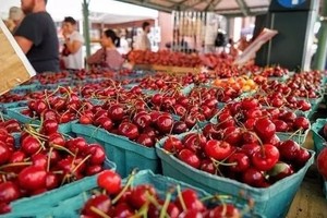 美國櫻桃價格暴跌。（示意圖源：互聯網）