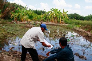 民眾可在農業用地上建設為農業生產服務的各項工程。（圖源：TL）