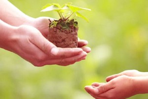 （示意圖源：互聯網） 