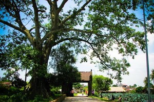 （示意圖源：互聯網） 