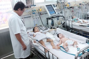 今年初以来，本市登革热住院確診病例激增。（示意圖源：互聯網）