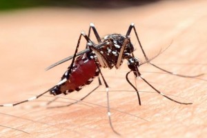 （示意圖源：互聯網） 