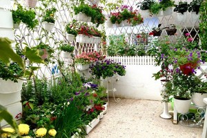 （示意圖源：互聯網） 