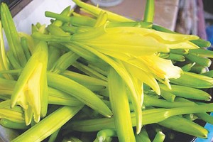 （示意圖源：互聯網） 