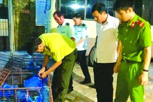 職能機關查獲走私穿山甲。（圖源：越通社）