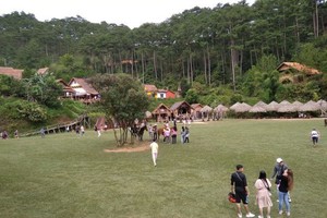 “蠢鈍村”處於山谷底，四周被松樹環抱，環境幽靜。
