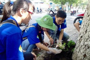 青年植樹攜手建設綠色城市。