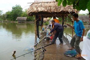 （示意圖源：互聯網）