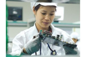 向大集團招商引資