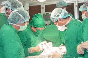 手術團隊為末期心衰竭患者進行心臟移植。（圖源：院方提供）