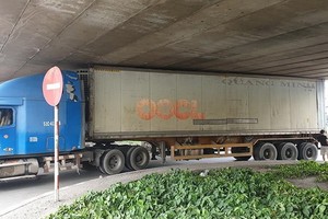 集裝箱車卡在安霜高架橋底現場。（圖源：PLO）