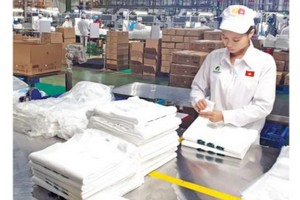 貿易順差是增長動力