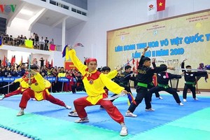 “國際（越南）武術精髓”聯歡節精彩紛呈。（圖源：互聯網）