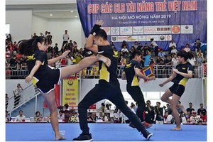 河內武術公開賽落下帷幕