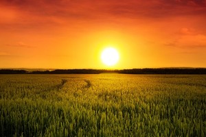 （示意圖源：互聯網）