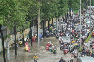 阮友景街修建項目導致路旁的綠樹將被砍伐。（圖源：Zing）