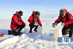 研究團隊在收集北極雪花樣本。（圖源：新華社）
