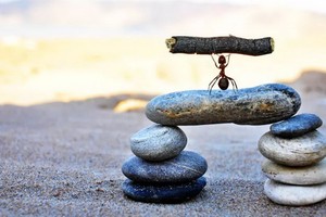 每一天的努力都會讓遠方變得更近一點。