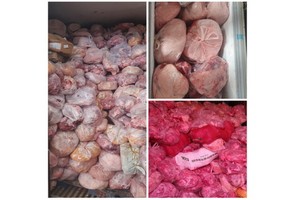 發現運載感染非洲豬瘟豬肉集裝箱