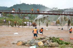 演習現場一瞥。（圖源：國紅）