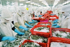 我國水產品外銷中國的產量遞減。（示意圖源：互聯網）