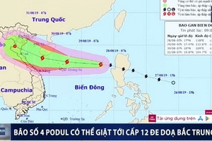 ４號颱風朝中部移動。（圖源：VTC視頻截圖）