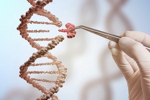 世界衛生組織宣佈啟動一項針對人類基因組編輯活動的全球性註冊計劃。（示意圖源：互聯網）