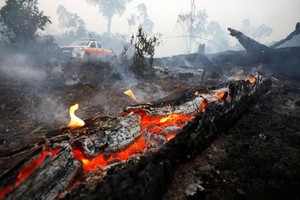 世衛組織：亞馬遜大火易引起呼吸系統疾病。（圖源：互聯網）