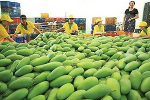 歐盟嚴格檢查進口農產品。（示意圖源：互聯網）